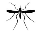 Foreclosures Breeding Grounds for Mosquitoes