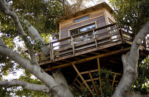 Not The Treehouse Your Dad Built: Figure 1