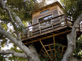 Not The Treehouse Your Dad Built