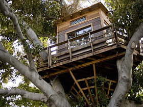 Not The Treehouse Your Dad Built
