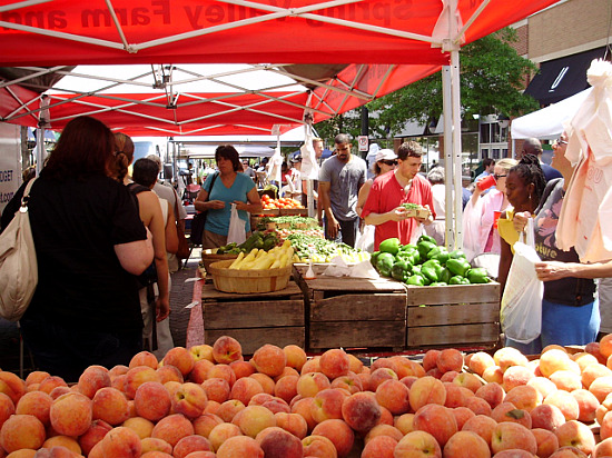 Downtown Silver Spring: Experiencing a Resurgence After a Bumpy History: Figure 6