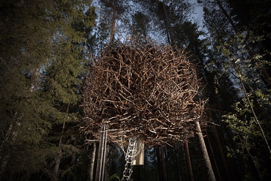 A Bird's Nest, A UFO? Sweden's Unique Lodging Options: Figure 1