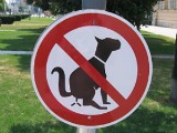 Atlantic Cities: The Characters On Your Neighborhood Listserv