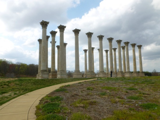 Off The Beaten Turf: The U.S. National Arboretum: Figure 5