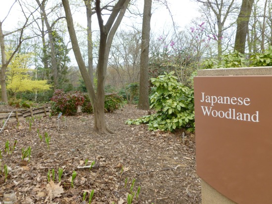 Off The Beaten Turf: The U.S. National Arboretum: Figure 4