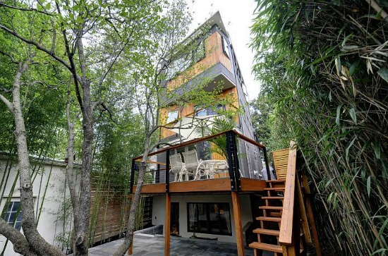 This Week's Find: A Georgetown Treehouse: Figure 2