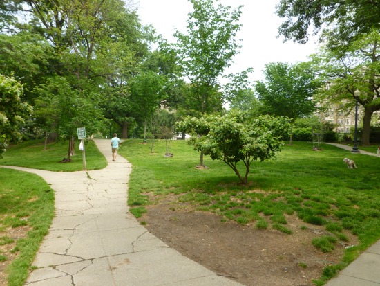 Kalorama: A Posh View From Embassy Row: Figure 6