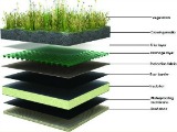 How to Green Your Roof in DC