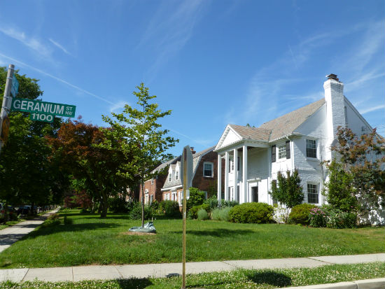 Shepherd Park: DC's Garden of Diversity: Figure 1