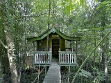 NoVa Best New Listings: Adult Tree House, Garden Terrace, Updated Duplex
