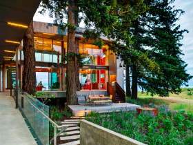 A House Built Around Trees