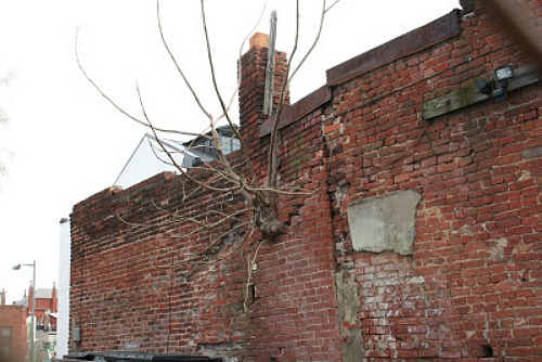 19-Unit Apartment Building Proposed for Naylor Court: Figure 2