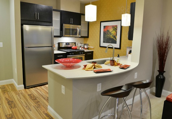 Experience Rockville&#8217;s Finest Apartment Home Living... Gables Upper Rock: Figure 3