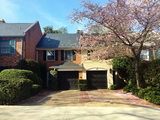 DC's Hidden Places: Georgetown's Orchard Lane: Figure 1