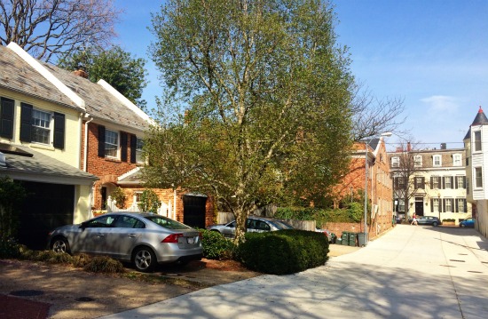 DC's Hidden Places: Georgetown's Orchard Lane: Figure 2