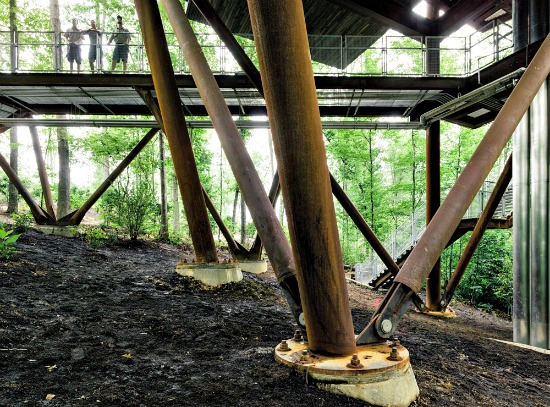 West Virginia Takes the Treehouse to a New Level: Figure 4