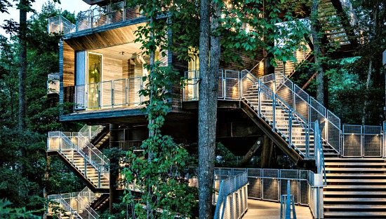 West Virginia Takes the Treehouse to a New Level: Figure 1