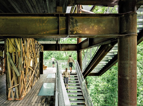 West Virginia Takes the Treehouse to a New Level: Figure 3