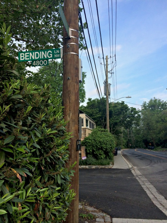 DC's Hidden Places: Bending Lane: Figure 4