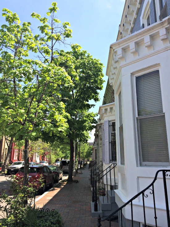 DC's Hidden Places: French Street: Figure 4