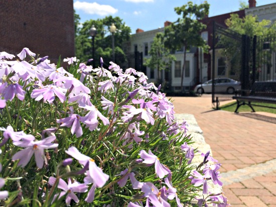 DC's Hidden Places: French Street: Figure 2