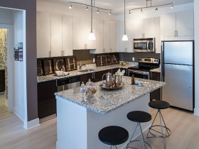Solaire Wheaton: Metro, Live-Work Space, and 2 Months Free