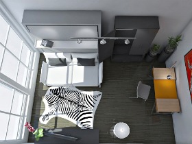 Micro-Units with an Added Twist: Roommates