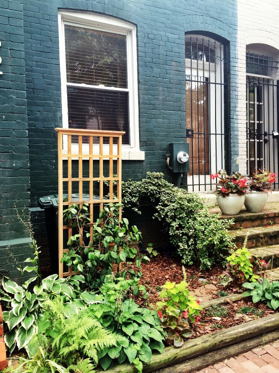 DC's Hidden Places: Warner Street: Figure 4