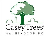 DC Homeowners: Plant a Tree, Save Money Long Term