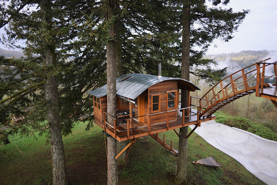 The Adult Three-Part Treehouse: Figure 3