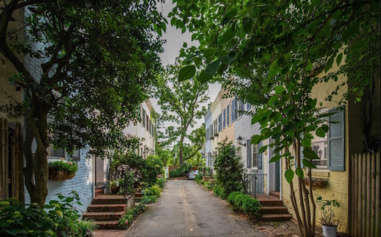 This Week's Find: A Georgetown One-Bedroom Reportedly Owned By Alexander Graham Bell: Figure 5