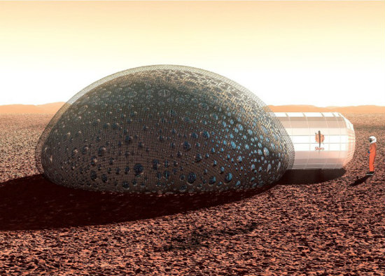A Home Designed For Living on Mars: Figure 1