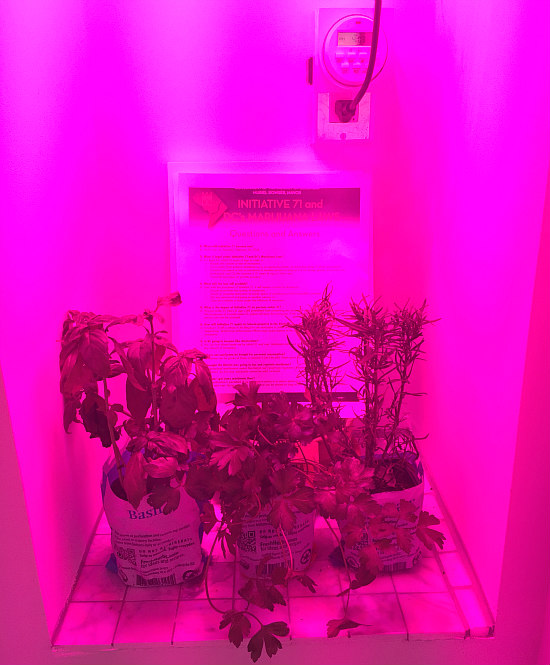 High Demand: More Marijuana Grow Closets Slated For DC Condos: Figure 1