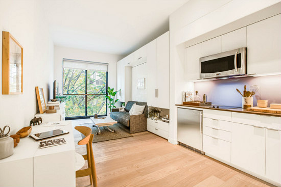 A Look Inside NYC's First Micro-Unit: Figure 1