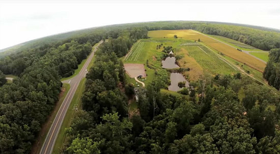 39 Acres, Mature Vineyards and a Tasting Room: Virginia Winery To Hit the Auction Block: Figure 1