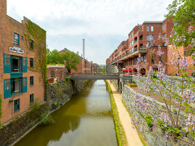 The 8-Year Path of Georgetown Home Prices in Four Charts