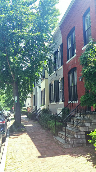 DC's Hidden Places: Olive Street: Figure 4