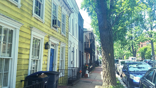 DC's Hidden Places: Olive Street: Figure 2