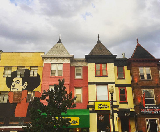 Adams Morgan: From Adolescence to Adulthood: Figure 1