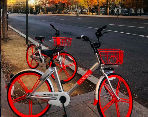 Convenience or Obstruction? DC Residents Sound Off on Dockless Bikes: Figure 1