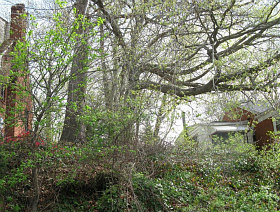 Why Are Vacant Lots Hitting the Market in DC for $70,000?