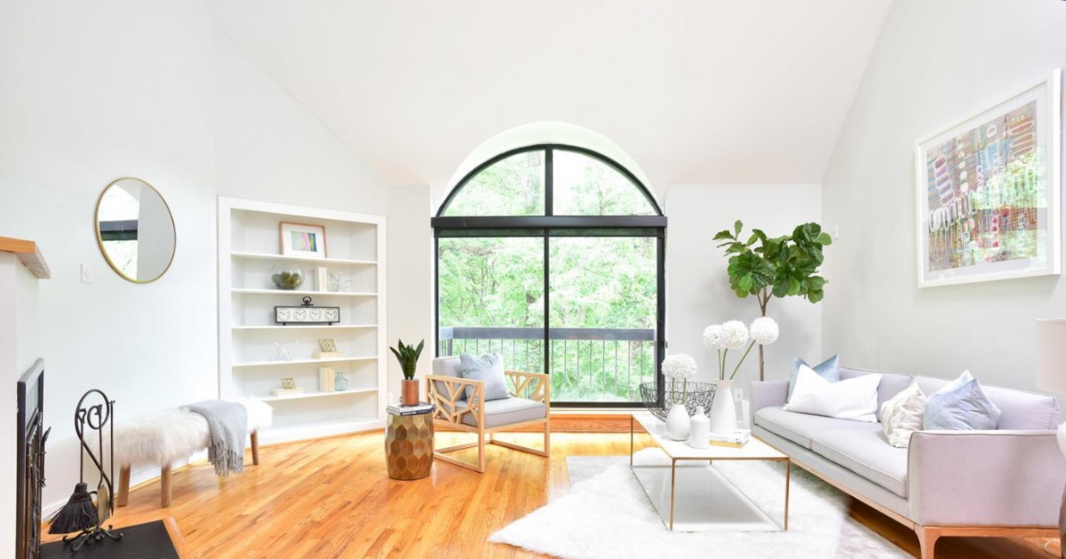 Best New Listings Two Corner Condos and a Treetop Loft