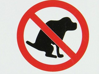 Dog DNA: Annapolis Condo Goes to Great Lengths to Find Dog Poop Culprits