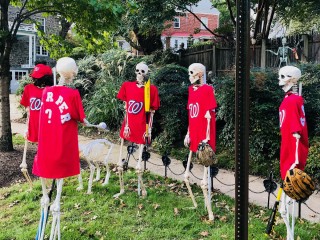 The Best Halloween Decorations Around DC