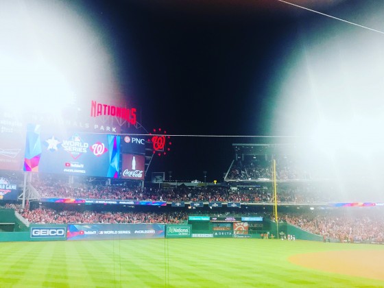 12 Million Strong? An Analysis of the Nats Fan Base