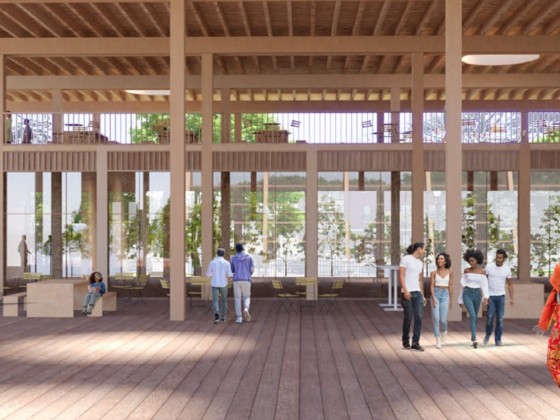 A Timber Retail Pavilion Pitched at St. Elizabeths