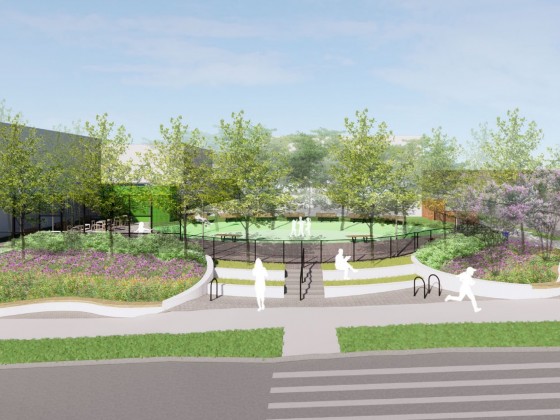 The Proposed Plans for Swampoodle Park II