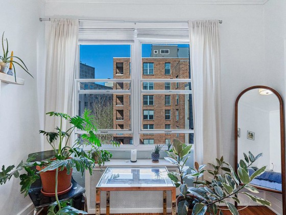 Best New Listings: A Schoolhouse Loft, Great Falls Acres and A Dupont Abode
