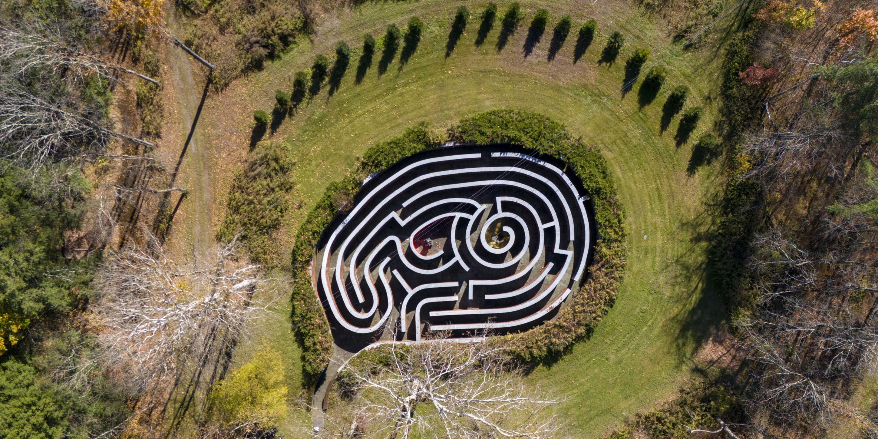 maze .jpg