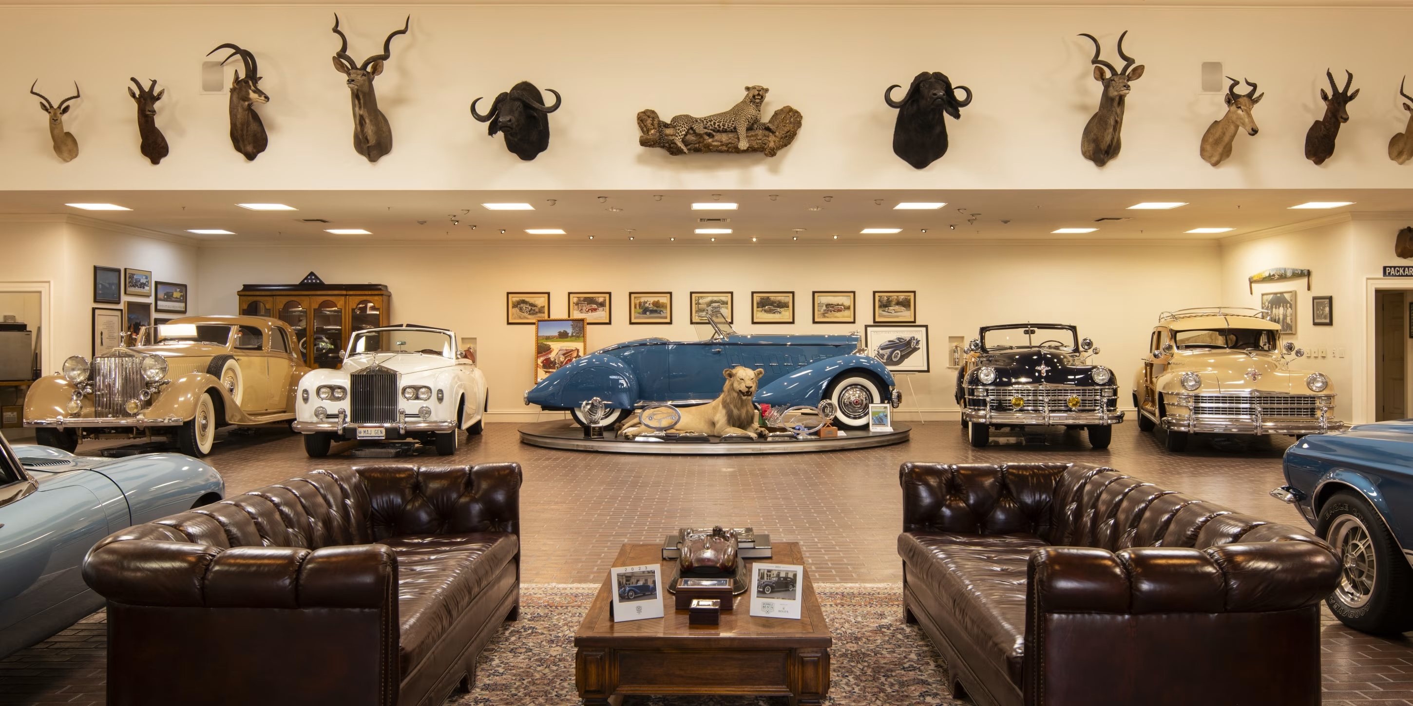 car-museum .jpg
